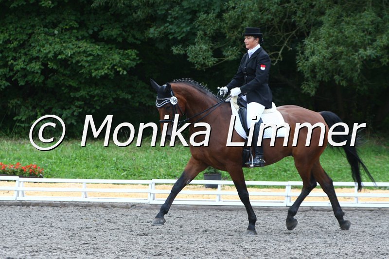 009M2801_Wega Cassini_Dressur Mxx.JPG